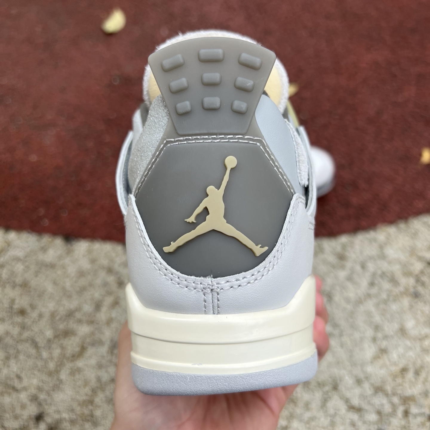 Nike Jordan shoe